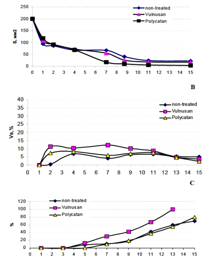 Вплив мазі з бішофітом на гнійні рани