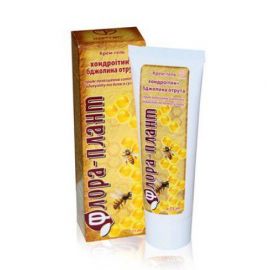 Фото Крем-гель Хондроітин + бджолина отрута 75 мл вигляд №